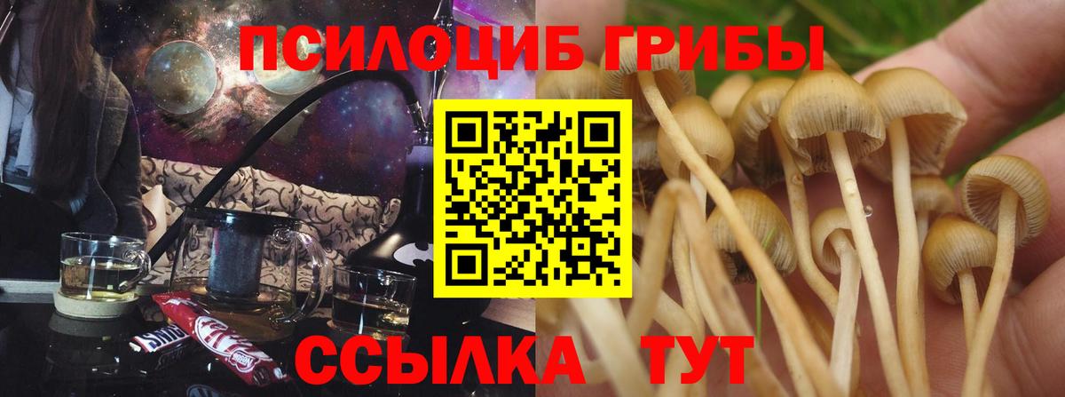 Псилоцибиновые грибы Psilocybine cubensis  Псилоцибиновые грибы Cubensis  Вход с VPN  Новотроицк 